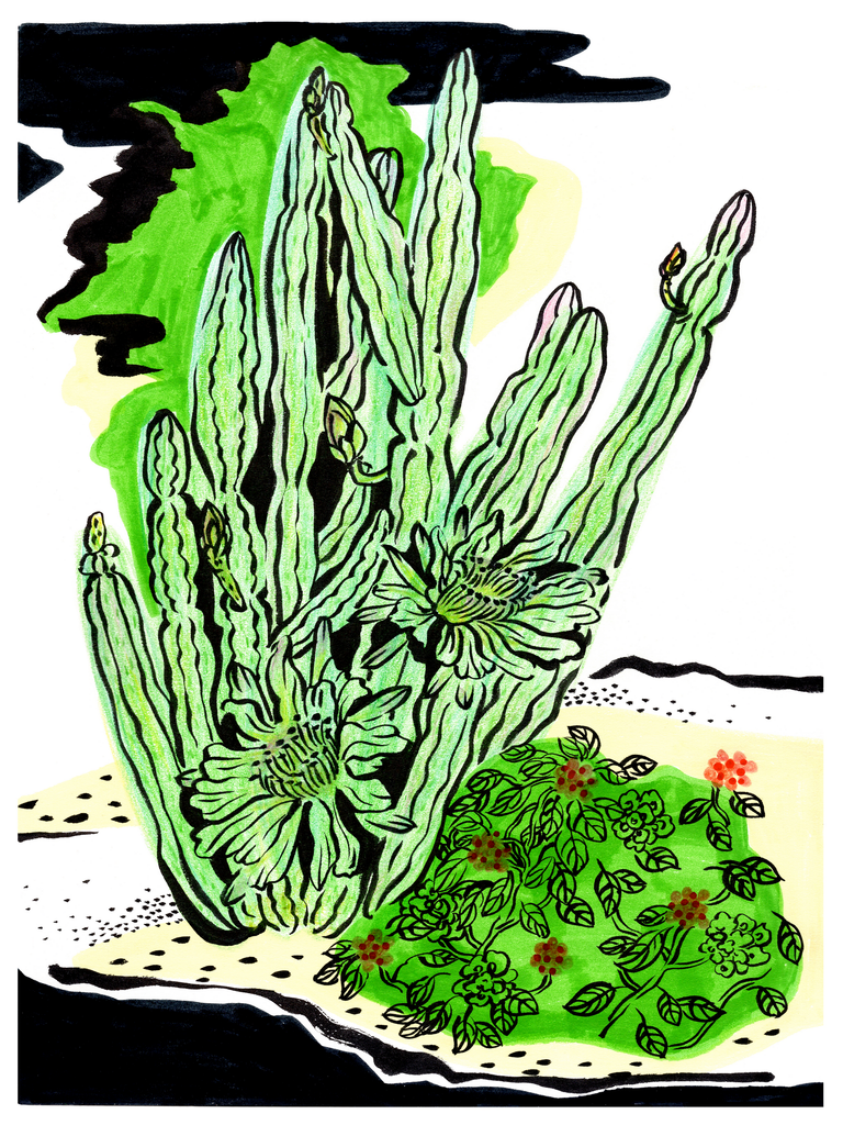A Sketch of Cactus